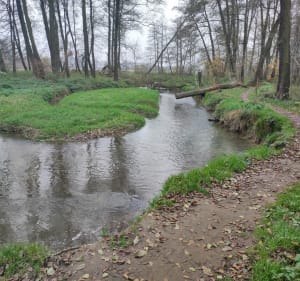Spacer Doliną Prądnika - Kraków - 4