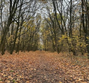 Bieganie na zdrowiu w Łodzi - Łódź - 3