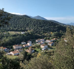 Boucle Forestière Palalda - Amélie-les-Bains-Palalda - 4