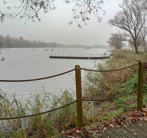 Kąpielisko przylasek Rusiecki - Park edukacyjny Branice - Kraków - 3