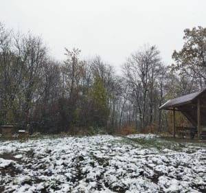 Ptasia Kopa i Lisi Kamień - Wałbrzych - 3