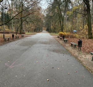 Bieganie na zdrowiu w Łodzi - Łódź - 5