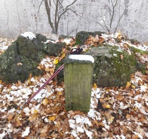 Ptasia Kopa i Lisi Kamień - Wałbrzych - 5