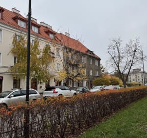 Lasy bielańskie - Warszawa - 4