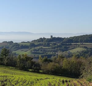 Boucle de Bathernay - Bathernay - 3