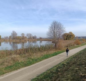 Szlakiem trzech stawów - Nowa Sól - 3