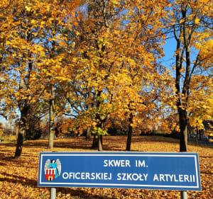 Cmentarz św. Jerzego i lasek Rudelka - Toruń - 4