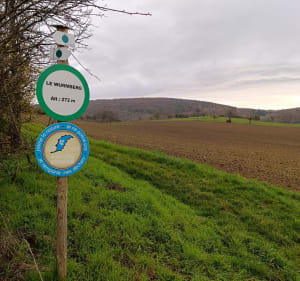 Autour de la colline Wurmberg, par Habermatt - Gresswiller - 5