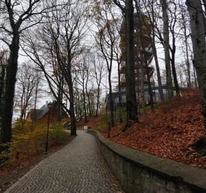 Las czy park? czyli Park Sobieskiego w Wałbrzychu - Wałbrzych - 3