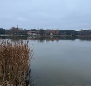 Wycieczka nad jezioro „Zalew nad Muchawką” - Siedlce - 4