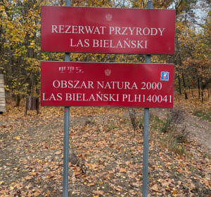 Las Bielański - Warszawa - 3