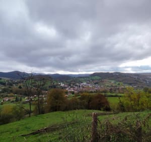 Balade en forêt de Lamothe - Colomiers - 5