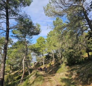 Balade autour de Bollène, par le Sablas - Aumessas - 4