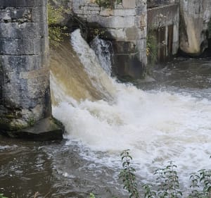 Marche le long du canal de la Dive. - Erick - 3
