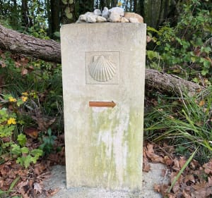 Balade à la Potière et Fenioux - Fenioux - 3