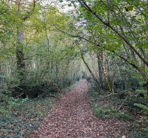 Balade à la Potière et Fenioux - Fenioux - 4