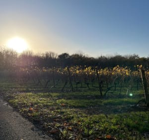 Balade à la Potière et Fenioux - Fenioux - 5