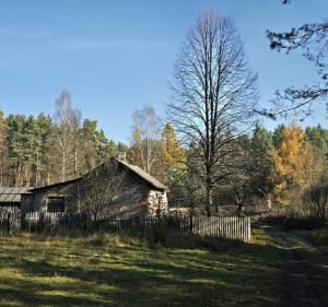 Piernikarka - opuszczona osada w środku lasu - Sosnowiec - 4