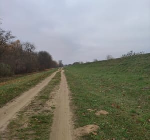 Wieliszew stadion - plaża - stadion - Wieliszew - 5