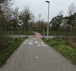 Krzycko-kleciński spacer po parkach - Wrocław - 3