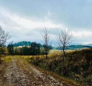 Wędrówka na Palucha i okolice - Boguszów-Gorce - 3