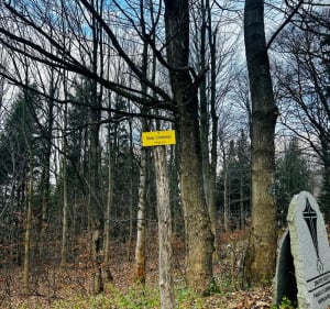 Wędrówka na Palucha i okolice - Boguszów-Gorce - 4