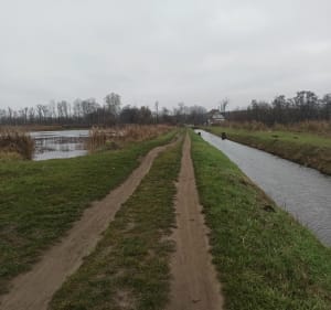 Przez Chojnowski Park Krajobrazowy do Konstancina - Piaseczno - 3