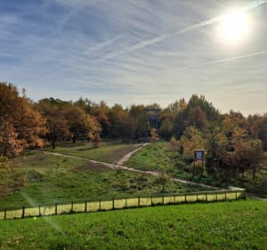 4 Stawy Maślickie - Wrocław - 5