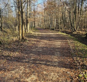 Tychy Zameczek - Przystań - Tychy - 5