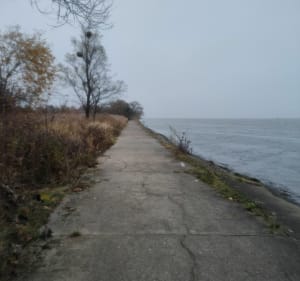 Wzdłuż ujścia Wisły - Świbno - Gdańsk - 5