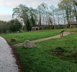 Chemin Vert du petit Caux et campagne - Saint-Rémy-Boscrocourt - 3