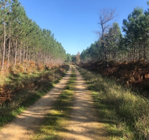 Boucle au départ de Mont-de-Marsan - Mont-de-Marsan - 3