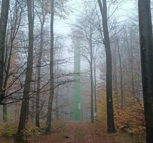 Wielki Las Lubański spacer po Górze Liściastej. - Luban - 4