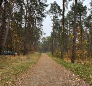 Trasa przy hotelu Orle - Gdańsk - 3