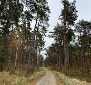 Trasa przy hotelu Orle - Gdańsk - 4
