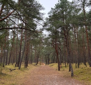 Trasa przy hotelu Orle - Gdańsk - 5