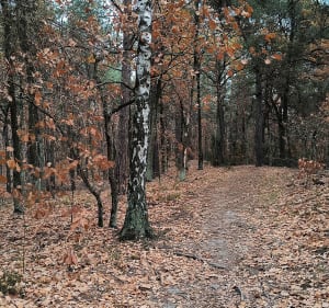 MTB po Mazowieckim Parku Krajobrazowym - Warszawa - 4