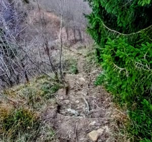 Crêt de Chalam - La Pesse - 3