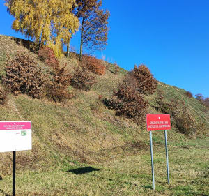 WIEŻA WIDOKOWA ŁYSAKÓW I DOLINA RZEKI BYSTRZYCY - Lublin - 5