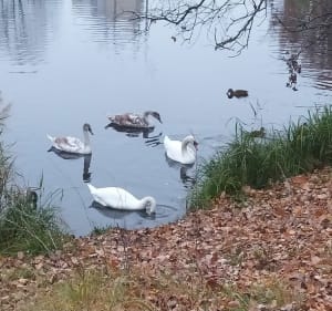 Park nad dolinką Służewiecką - Warszawa - 3