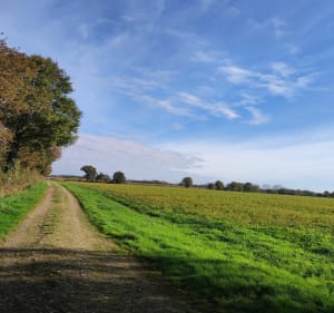 Moment tranquille à la campagne depuis les Raymondières - La Chapelle-Hermier - 3