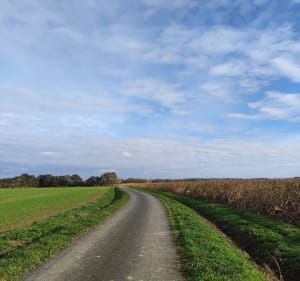 Moment tranquille à la campagne depuis les Raymondières - La Chapelle-Hermier - 4