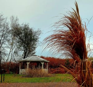 Park Angielski - Stara Huta - Jaworzno - 3