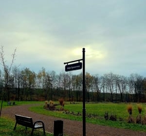 Park Angielski - Stara Huta - Jaworzno - 5