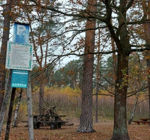 "Łoś" z Dłutowskiego Lasu - Justyna - 3