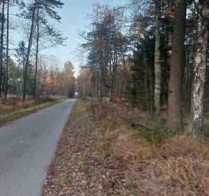 Puszcza Dulowska: Białka - Leśniczówka - Wola Filipowska - 3