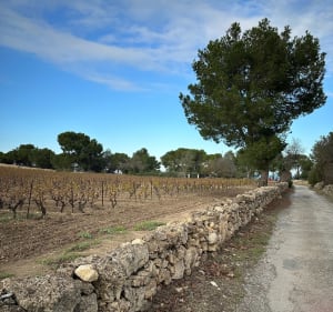 La Franquie entre mer et terre et Cap des Frères - Myriam - 4