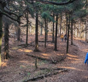 Waligóra 935m n.p.m. - Rybnica Leśna - 4