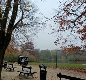 Wrocław i spacer wśród parków, a nawet miłośników zakupów - Wrocław - 4