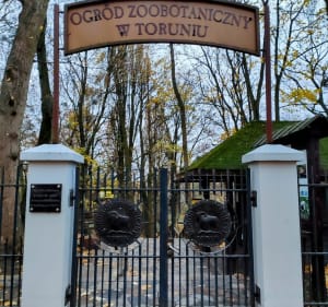Bydgoskie Przedmieście: zabytkowe budynki z bogatą historią - Toruń - 5